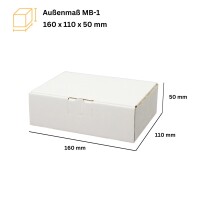 Maxibrief-Karton 160x110x50 mm weiß DIN A6