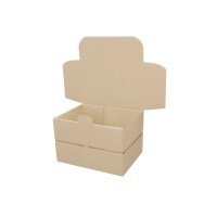 Maxibrief-Karton 180x130x50 mm braun DIN C6
