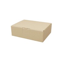 Maxibrief-Karton 180x130x50 mm braun DIN C6