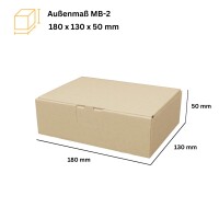 Maxibrief-Karton 180x130x50 mm braun DIN C6