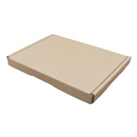 Maxibrief-Karton 230x170x30 mm braun