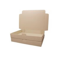 Maxibrief-Karton 260x180x50 mm braun DIN A5