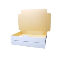 Maxibrief-Karton 350x250x50 mm weiß DIN A4