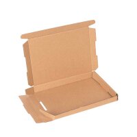 Großbrief-Karton 16x12x2 cm braun DIN A6 Faltschachtel