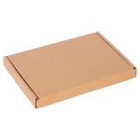 Großbrief-Karton 16x12x2 cm braun DIN A6 Faltschachtel