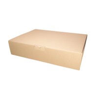 Faltschachtel DHL Kleinpaket 350x250x80 mm (345x245x74...
