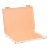 Großbrief-Karton 35x25x2 cm weiß DIN A4 Faltschachtel