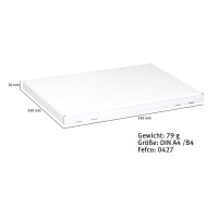 Großbrief-Karton 35x25x2 cm weiß DIN A4 Faltschachtel