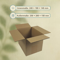 Karton 25x20x15 cm - DIN A5 Versandkarton innen 24x18x14 cm - Faltkarton 250x200x150 mm Fefco 0201