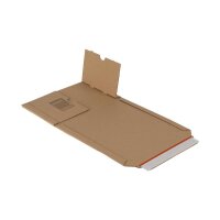 Buch-Karton 217x155x50 mm für Maxibrief &...