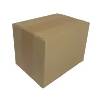 Karton 20x15x15 cm für Hermes Päckchen &...
