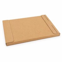 Großbriefkarton 350 x 250 x 20 mm braun DIN B4 -...