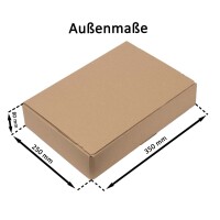 Automatikboden-Karton für DHL-Kleinpaket