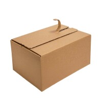 Automatikboden-Karton 21x15x10 cm