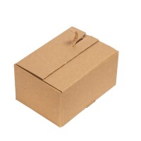 Automatikboden-Karton 23x16x11 cm