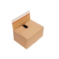 Automatikboden-Karton 31x23x15 cm