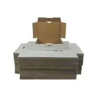 Maxibrief-Karton 180x130x45 mm weiß DIN A6