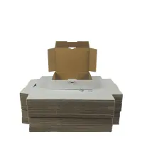 Maxibrief-Karton 180x130x45 mm weiß DIN A6