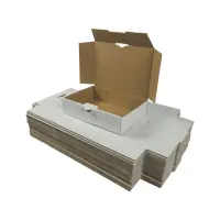 Maxibrief-Karton 180x130x45 mm weiß DIN A6