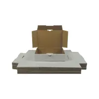 Maxibrief-Karton 180x130x45 mm weiß DIN A6