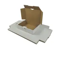 Maxibrief-Karton 180x130x45 mm weiß DIN A6