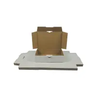 Maxibrief-Karton 180x130x45 mm weiß DIN A6
