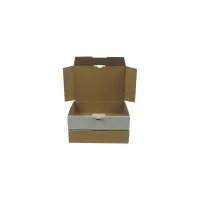 Maxibrief-Karton 180x130x45 mm weiß DIN A6
