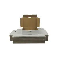 Maxibrief-Karton 180x130x45 mm weiß DIN A6