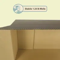 Karton 60x30x15 cm für DHL Päckchen M & DHL Paket bis 2 kg Versandkarton 600 x 300 x 150 mm Faltkarton Fefco 0201