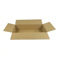 Karton 60x30x15 cm für DHL Päckchen M & DHL Paket bis 2 kg Versandkarton 600 x 300 x 150 mm Faltkarton Fefco 0201