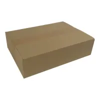 Karton 35x25x10 cm für DHL Päckchen S Versandkarton 350 x 250 x 100 mm Faltkarton Fefco 0201