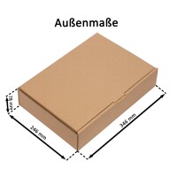 Faltschachtel 350x250x80 mm
