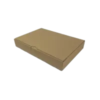 Maxibrief-Karton 320x230x50 mm braun DIN A4