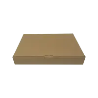 Maxibrief-Karton 320x230x50 mm braun DIN A4