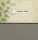 Maxibrief-Karton 320x230x50 mm braun DIN A4