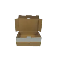 Maxibrief-Karton 240x160x45 mm weiß DIN A5