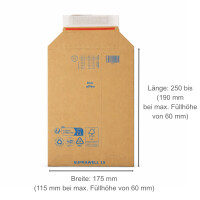 Karton-Versandtasche 250x175 mm variable bis 60 mm Höhe Maxibrief- & Großbrief-Umschlag Wellpappe