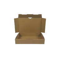 Maxibrief-Karton 240x160x45 mm braun DIN A5