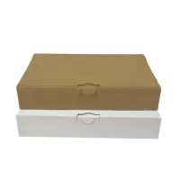 Maxibrief-Karton 240x160x45 mm braun DIN A5