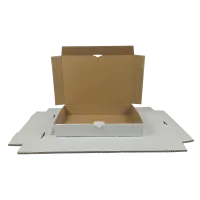 Maxibrief-Karton 320x230x50 mm weiß DIN A4