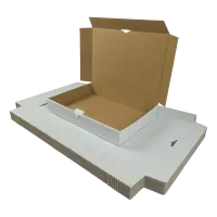 Maxibrief-Karton 320x230x50 mm weiß DIN A4