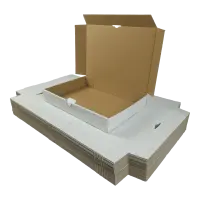 Maxibrief-Karton 320x230x50 mm weiß DIN A4