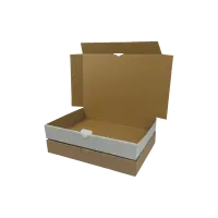 Maxibrief-Karton 320x230x50 mm weiß DIN A4