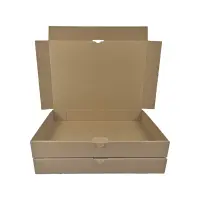 Maxibrief-Karton 350x250x50 mm braun DIN B4