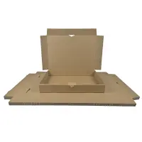 Maxibrief-Karton 350x250x50 mm braun DIN B4