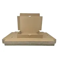 Maxibrief-Karton 350x250x50 mm braun DIN B4