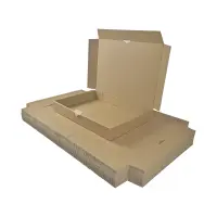 Maxibrief-Karton 350x250x50 mm braun DIN B4