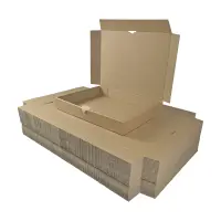 Maxibrief-Karton 350x250x50 mm braun DIN B4