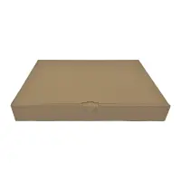 Maxibrief-Karton 350x250x50 mm braun DIN B4