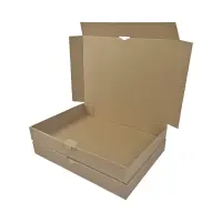 Maxibrief-Karton 350x250x50 mm braun DIN B4